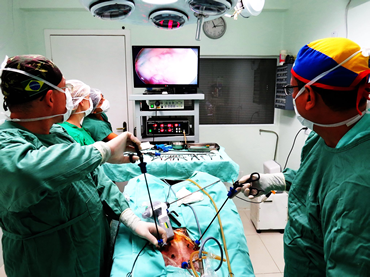 CCCV é um pioneiro na Videocirurgia em Pequenos Animais em clinica particular no sul do Brasil