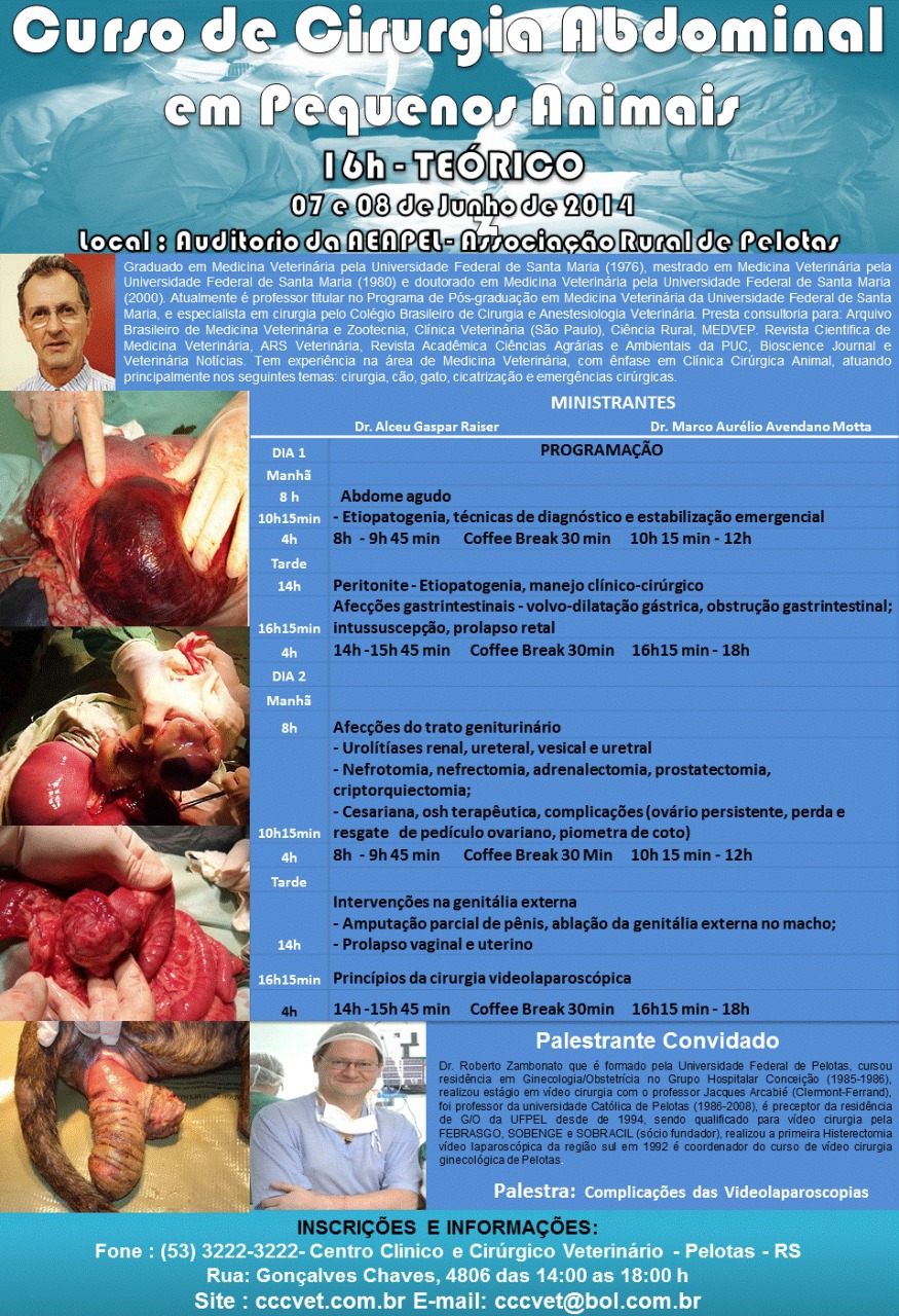 Cirurgia Abdominal em Pequenos Animais